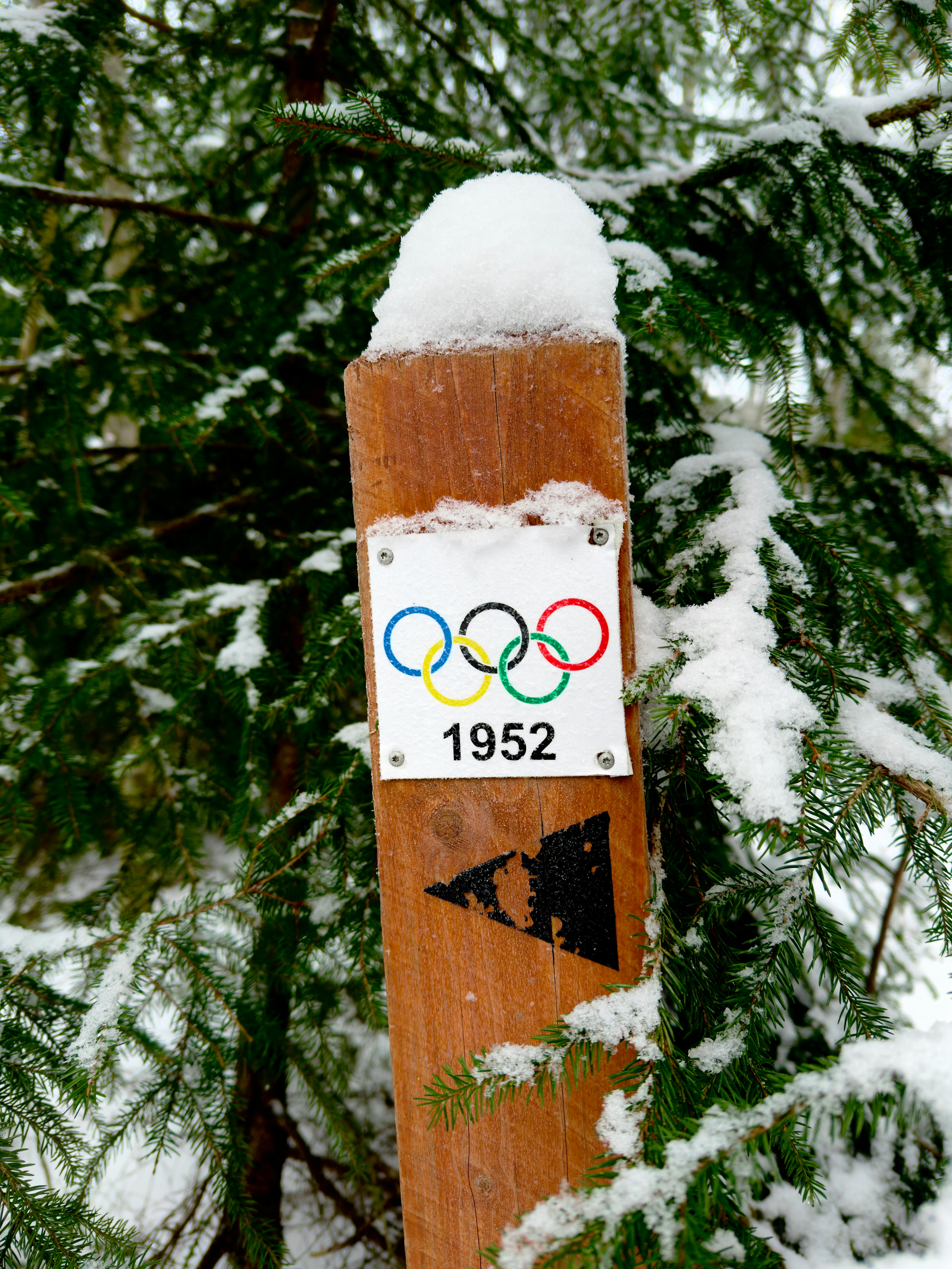 Popular Winter Olympic Sports And Why People Follow Them
